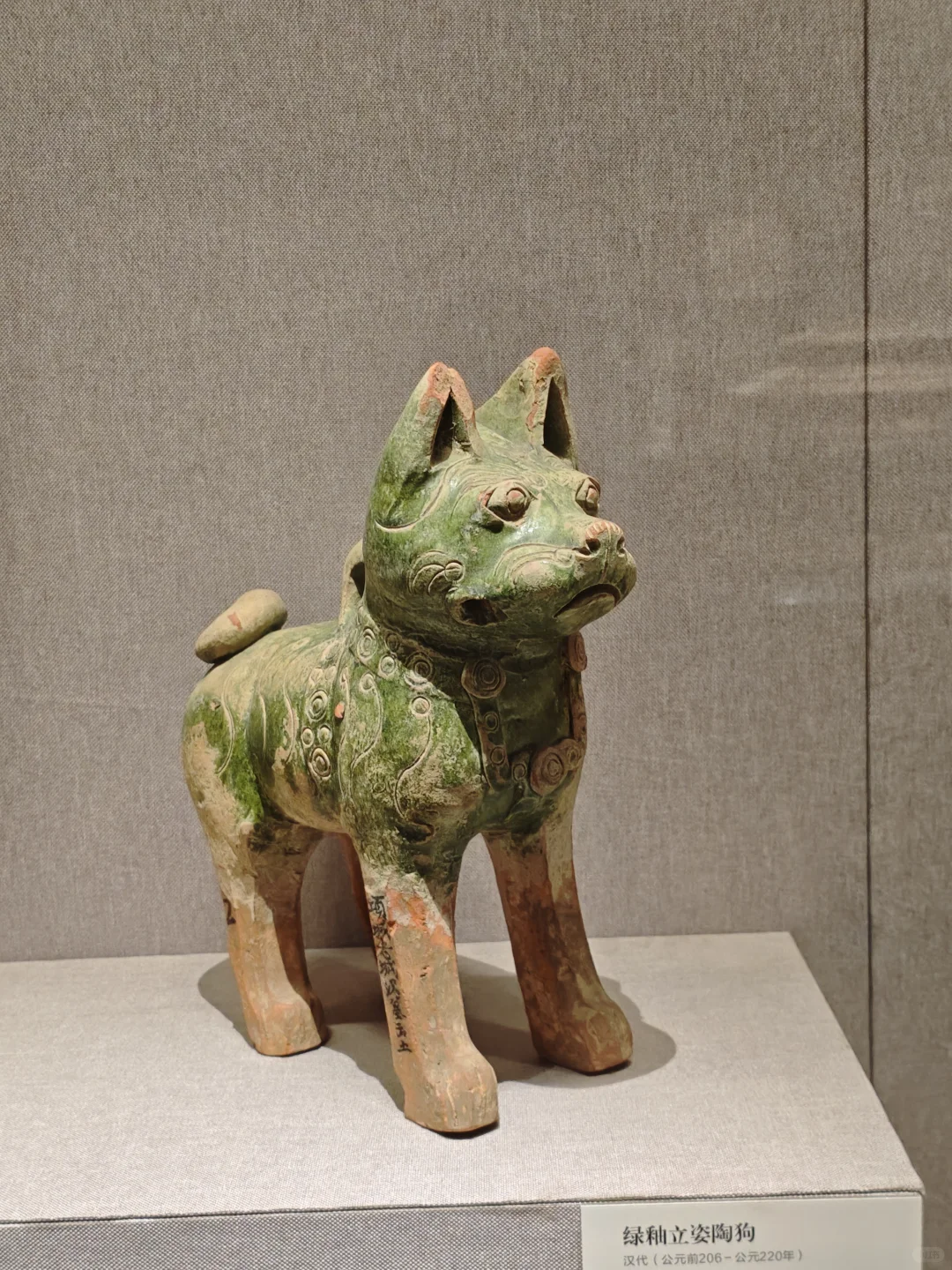 😭河南博物院来了，网红小狗呢？🐕