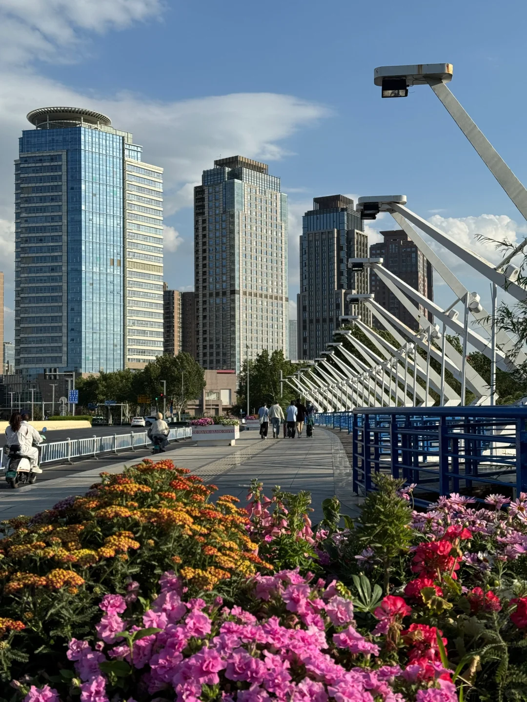 郑州不愧是北方第一省会，城市环境太治愈了！