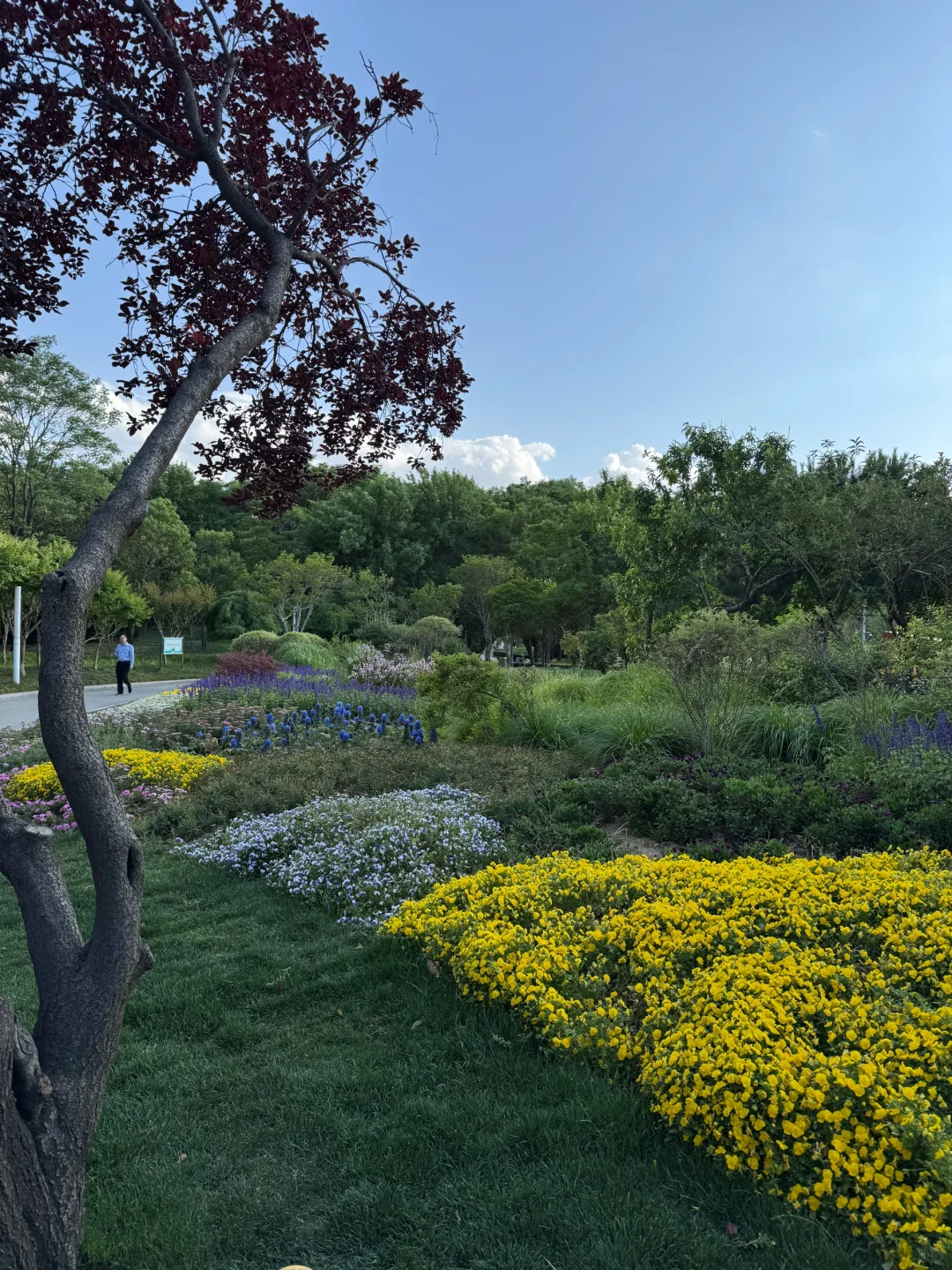 郑州不愧是北方第一省会，城市环境太治愈了！