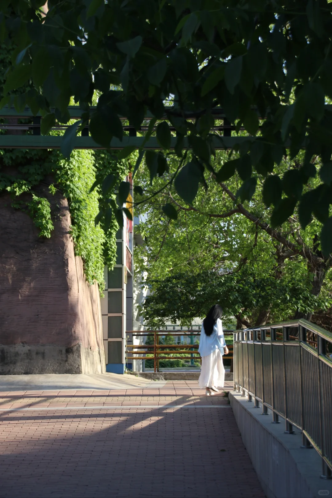 郑州人民公园！下一个顶流打卡机位来了
