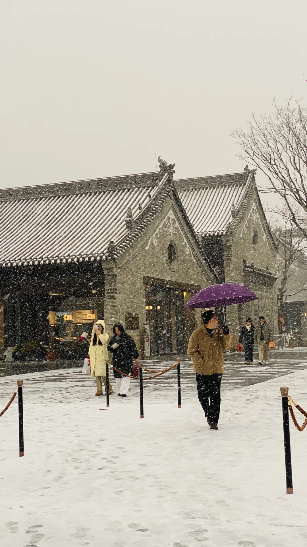 卧槽，暴雪里的郑州杀疯了，古建与雪花同框❗