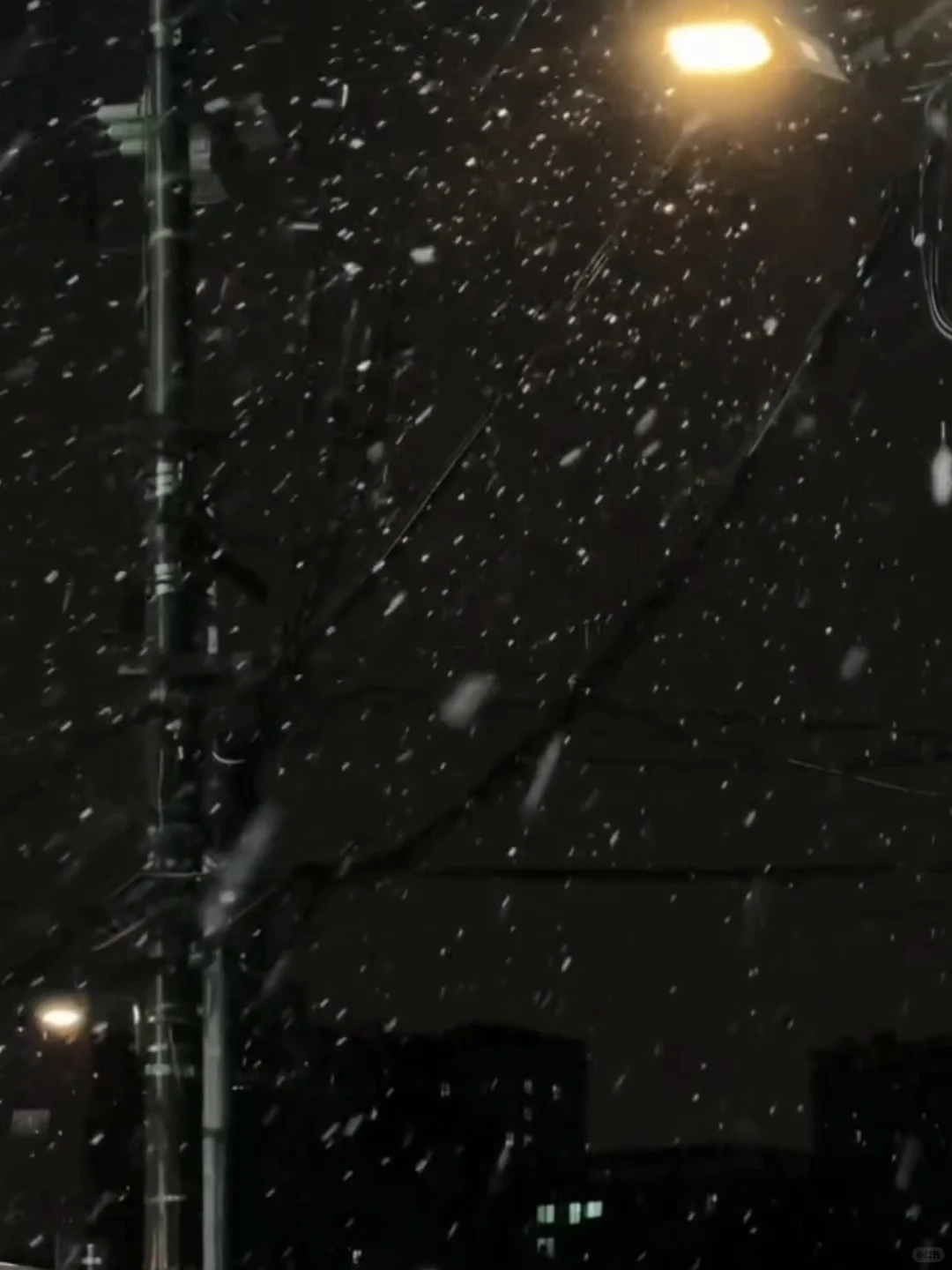 2025.12.12星期五河南郑州初雪🌨️来咯