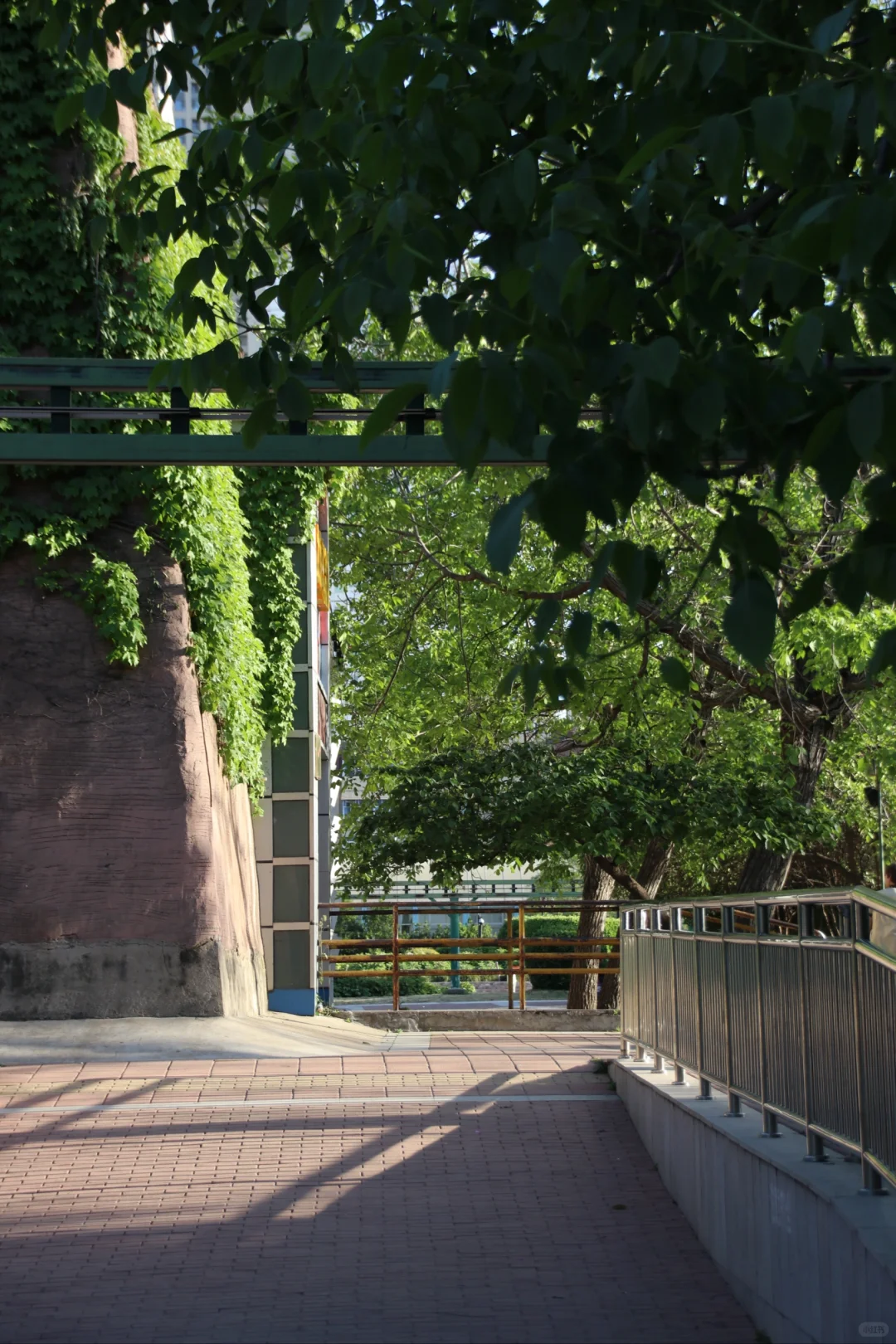 郑州人民公园！下一个顶流打卡机位来了