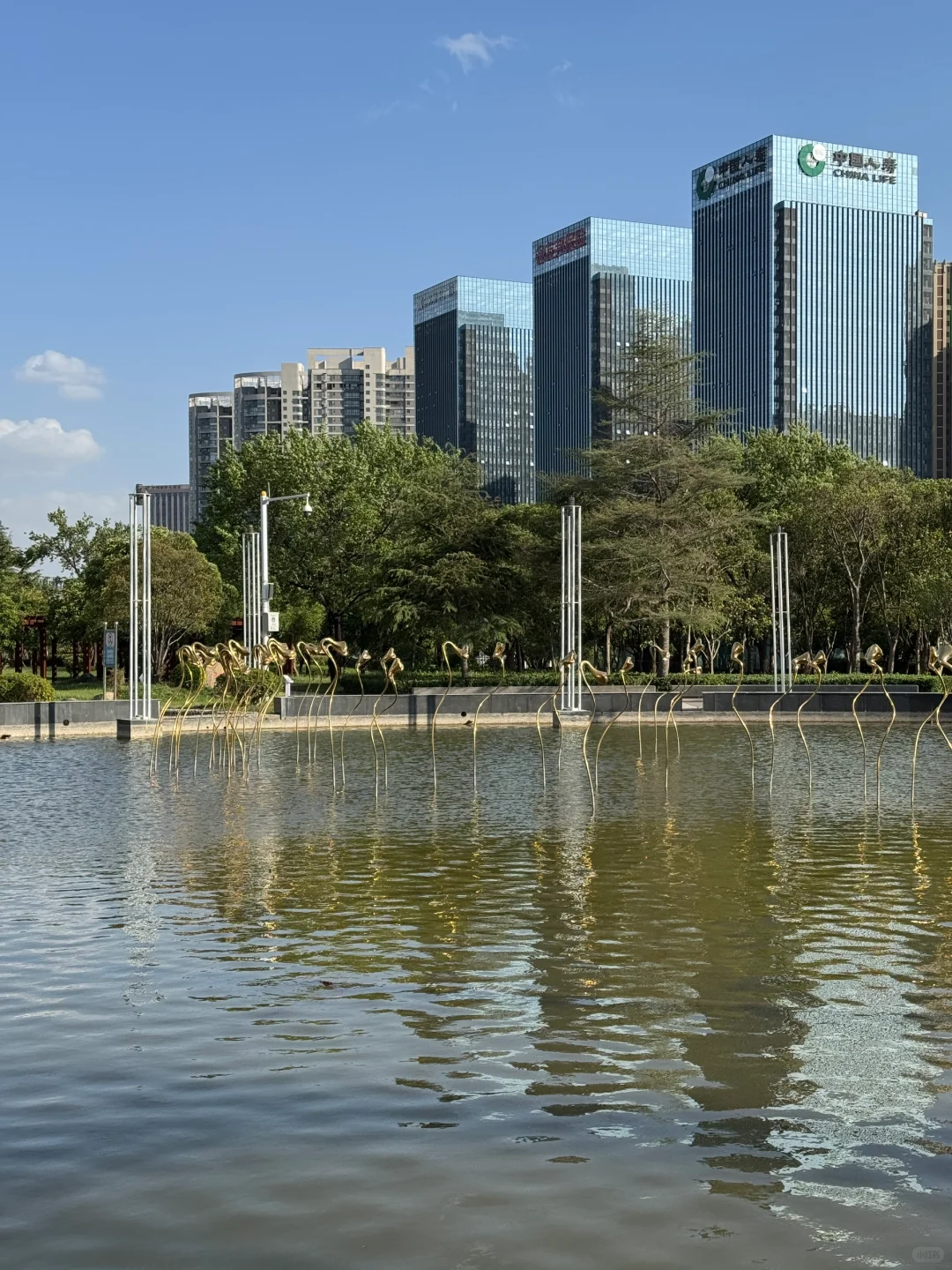 郑州不愧是北方第一省会，城市环境太治愈了！