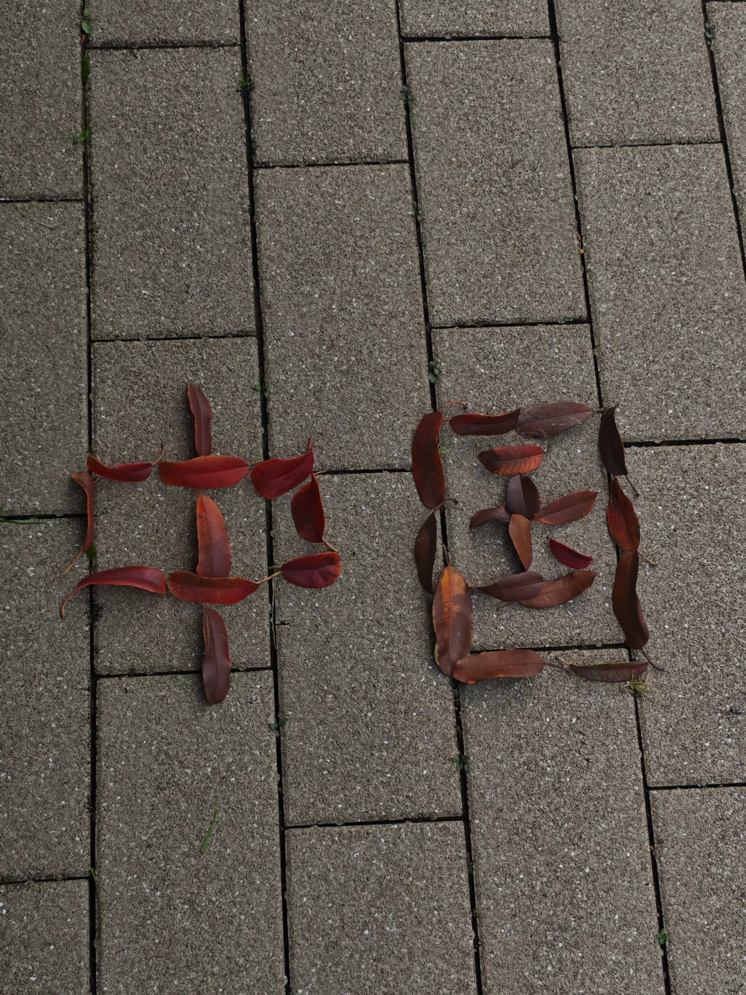 或许我会一直留在郑州