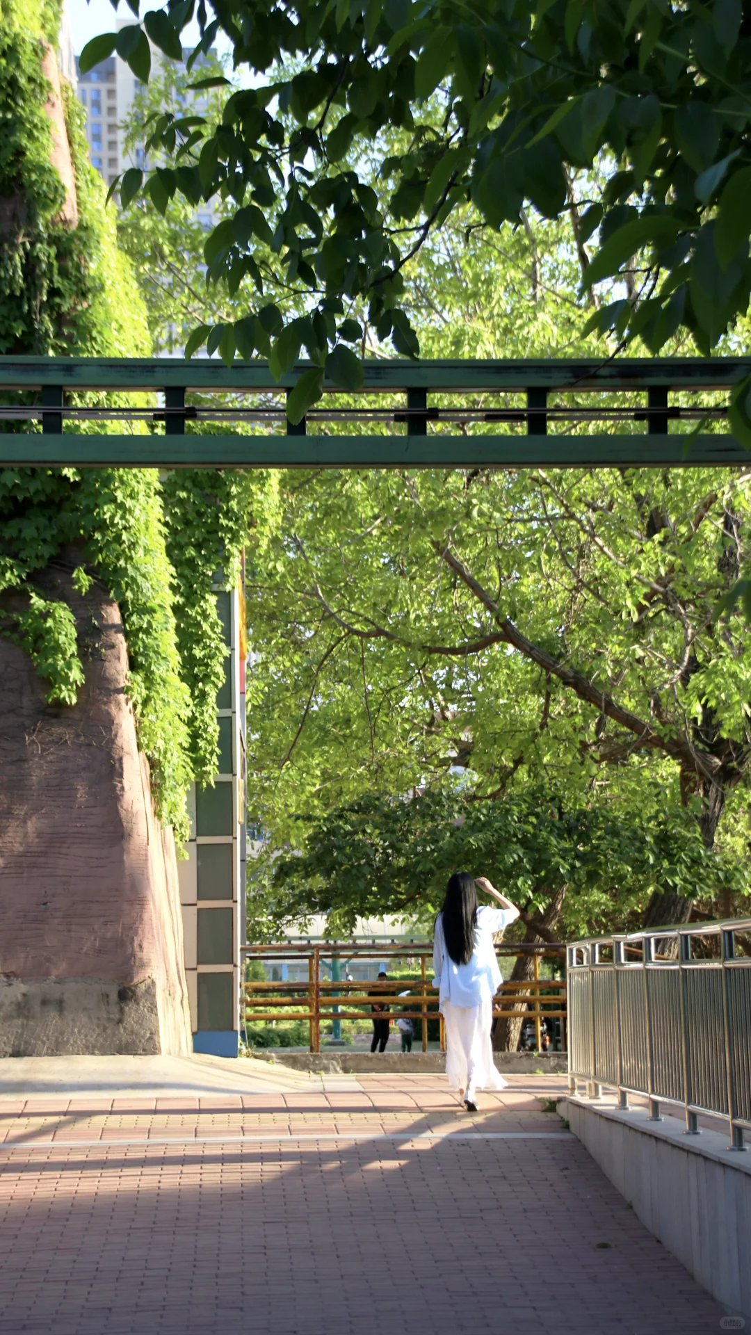 郑州人民公园！下一个顶流打卡机位来了