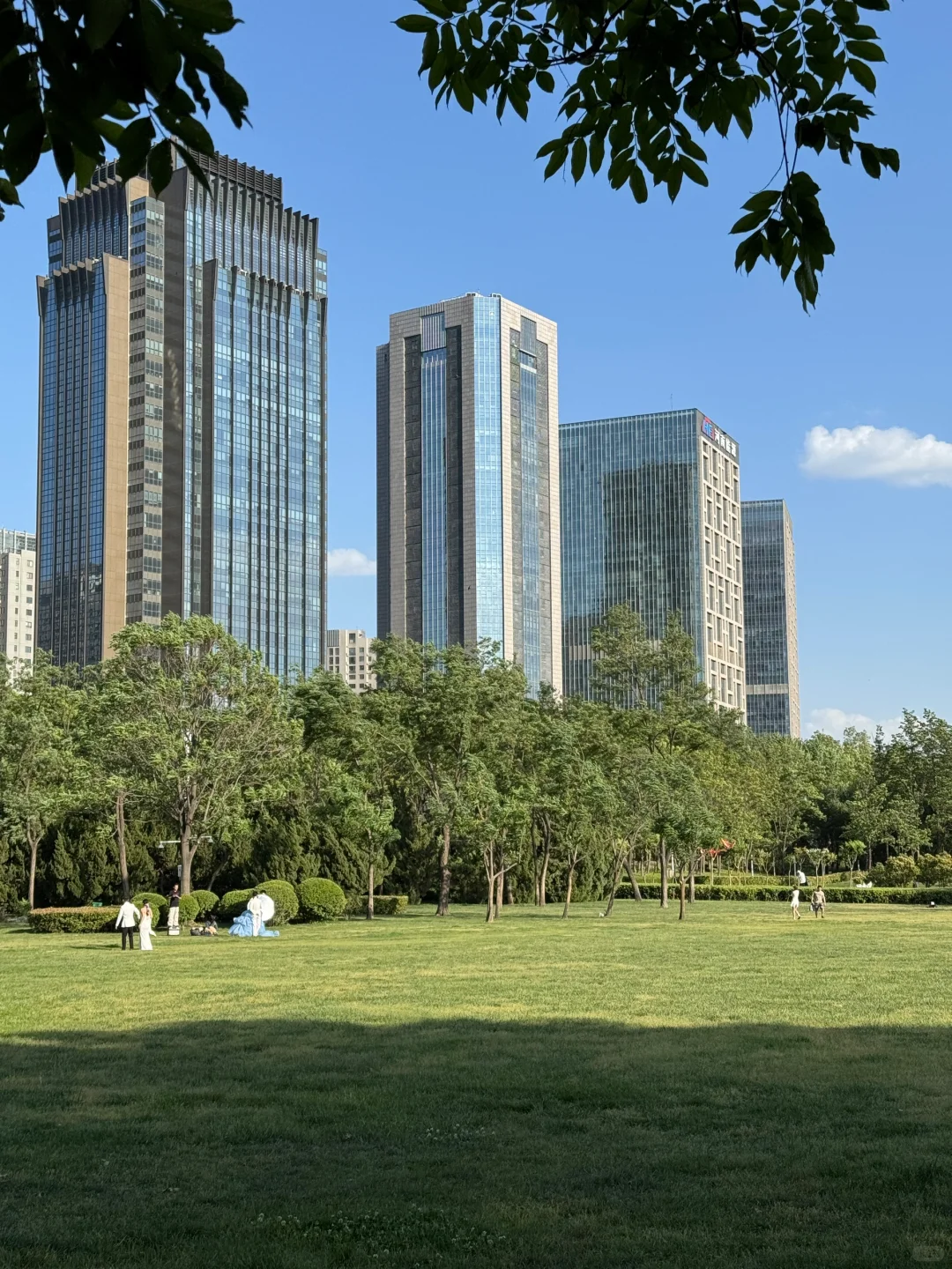 郑州不愧是北方第一省会，城市环境太治愈了！