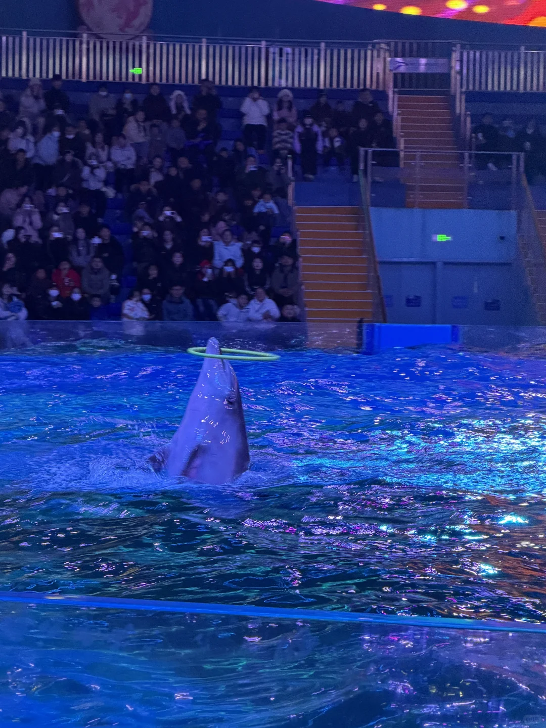 🍈我的冬天正式开始