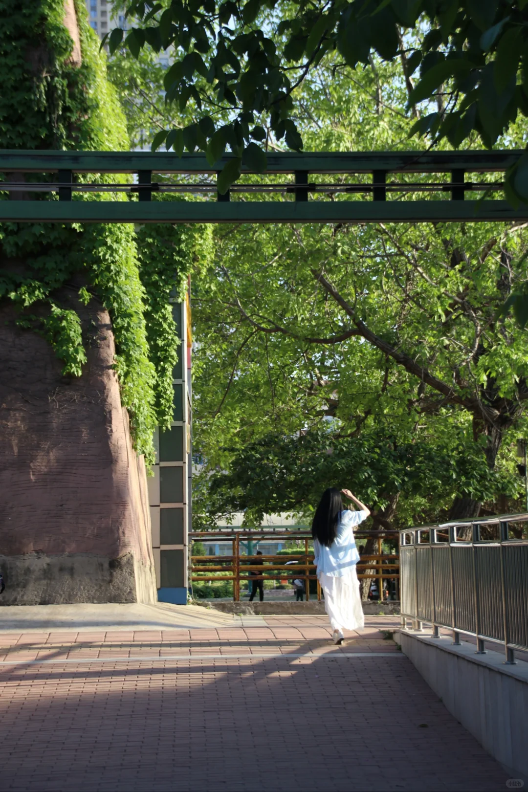 郑州人民公园！下一个顶流打卡机位来了