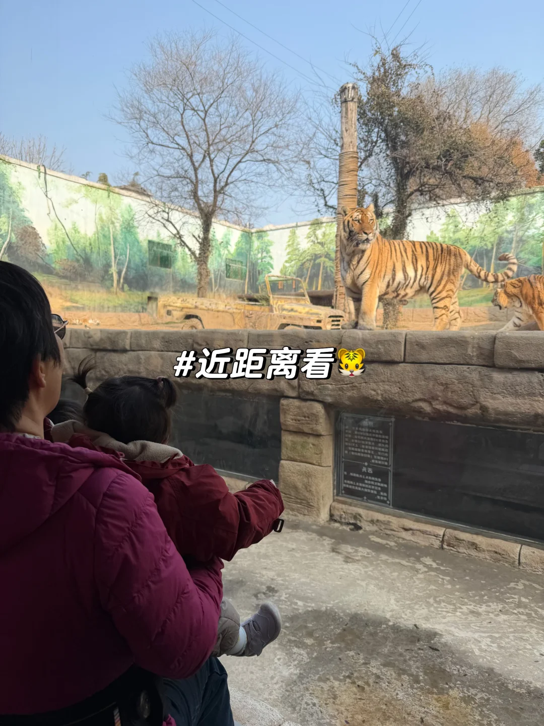 淡季带娃逛银基动物园真的太爽啦！