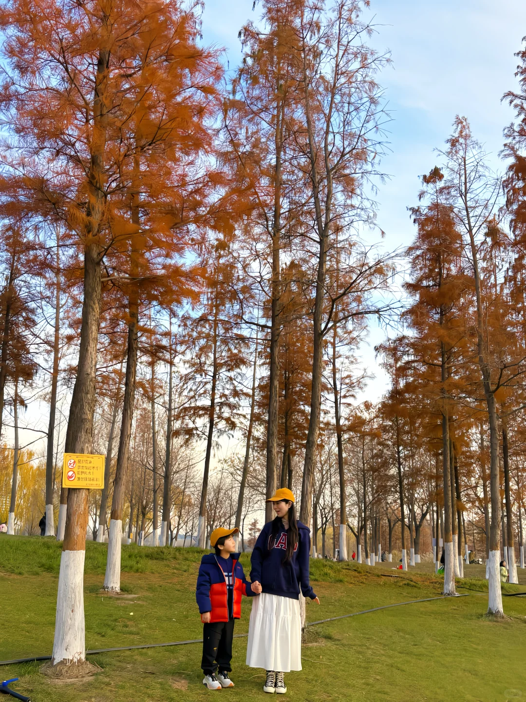 谁懂啊❗️郑州冬天的浪漫是天鹅给的！附攻略