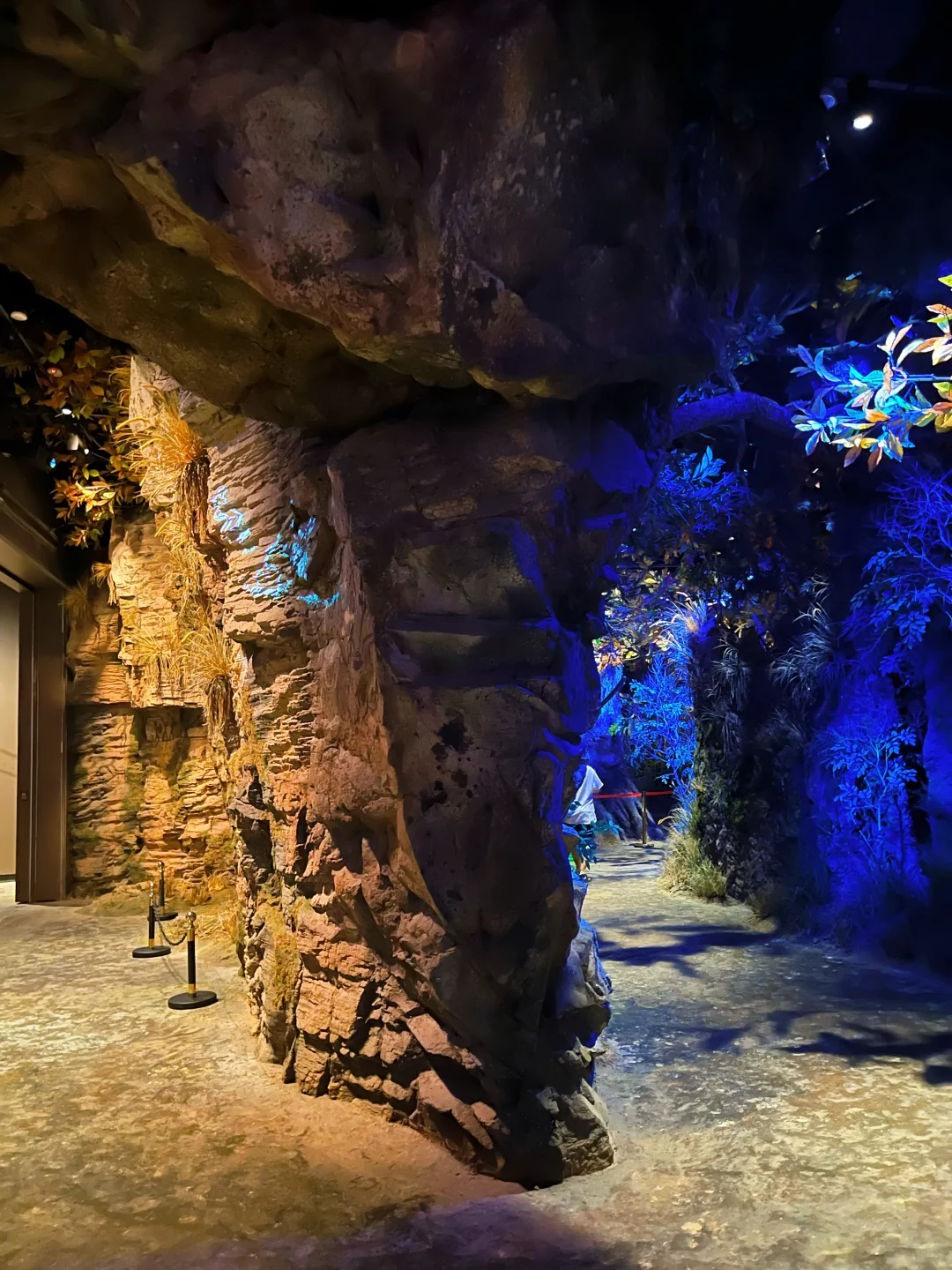 🏺郑州遛娃天花板！娃玩疯还涨知识！