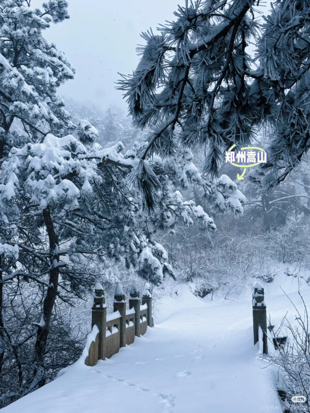 星期五郑州下雪哪里出片