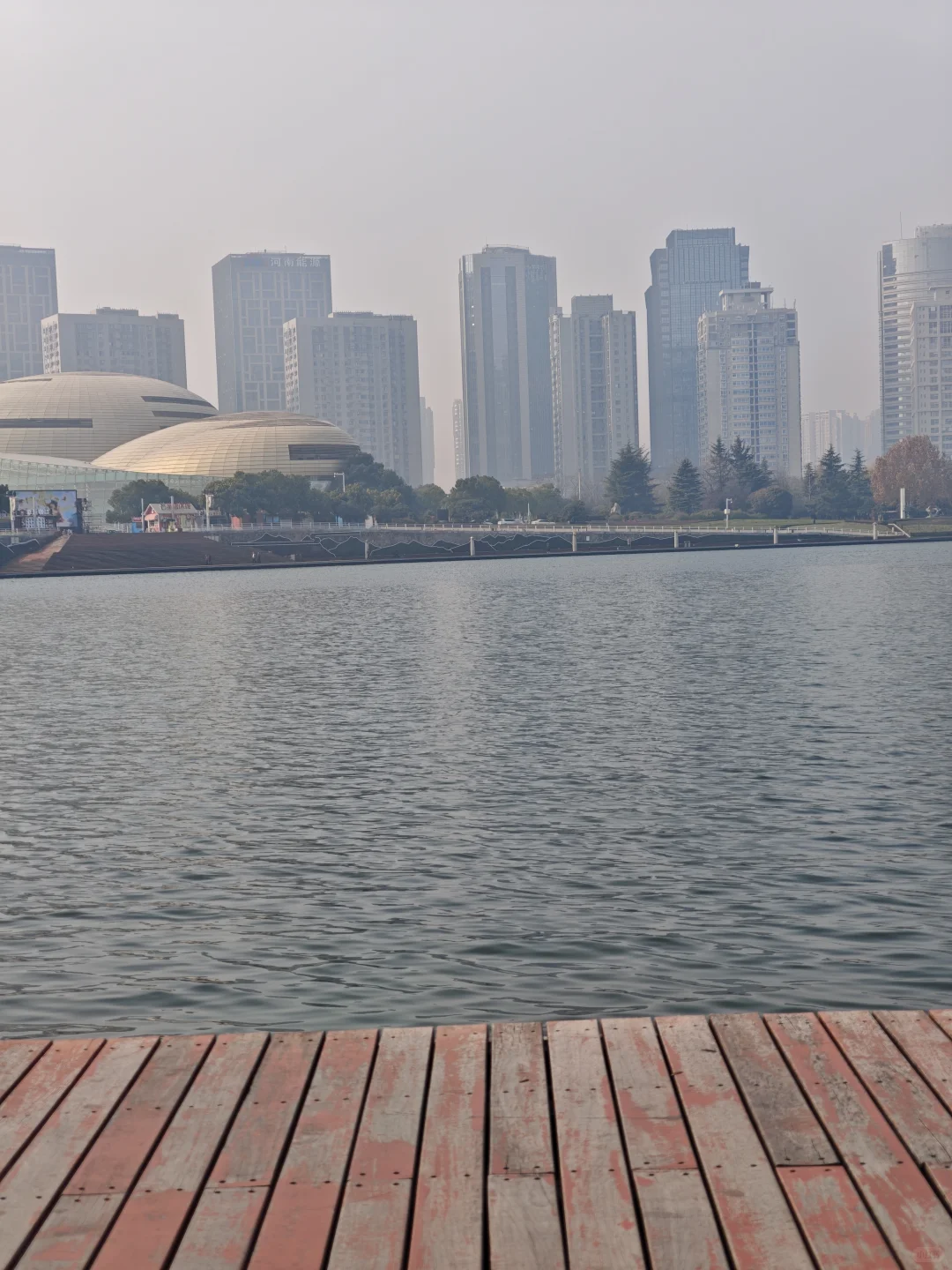 或许我会一直留在郑州