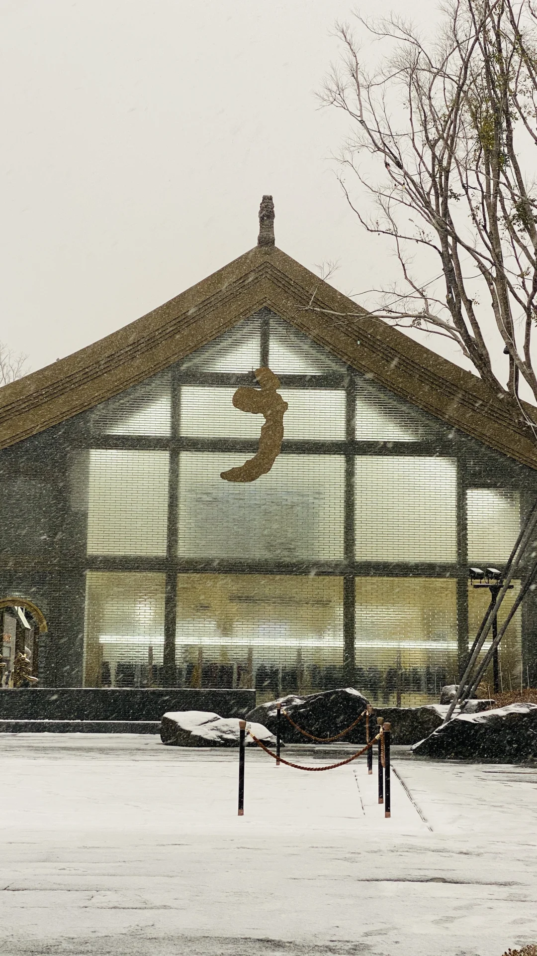 卧槽，暴雪里的郑州杀疯了，古建与雪花同框❗