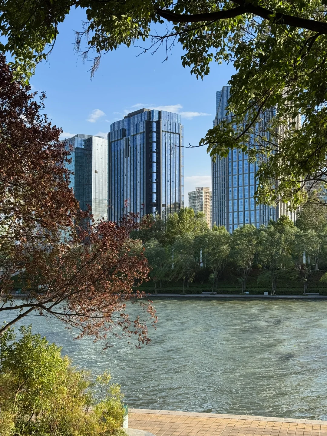 郑州不愧是北方第一省会，城市环境太治愈了！