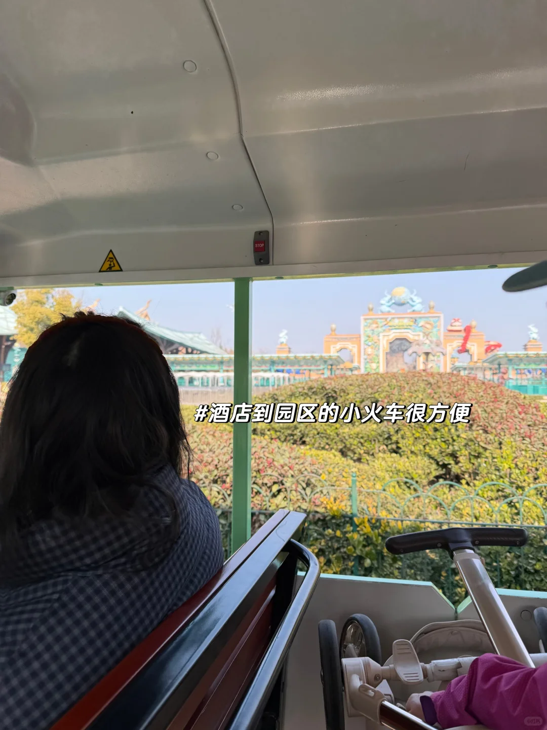 淡季带娃逛银基动物园真的太爽啦！