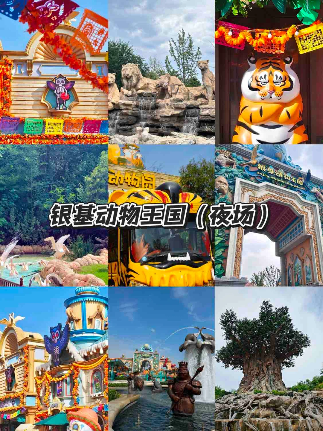 没来过这9个地方⁉️等于白来郑州了‼️🔥