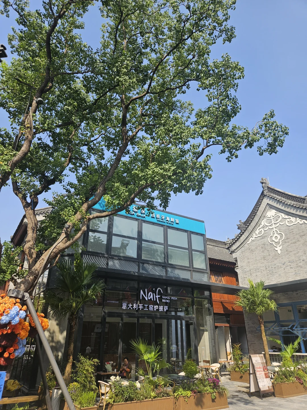 郑州亳都新象|开街首日实况🔥