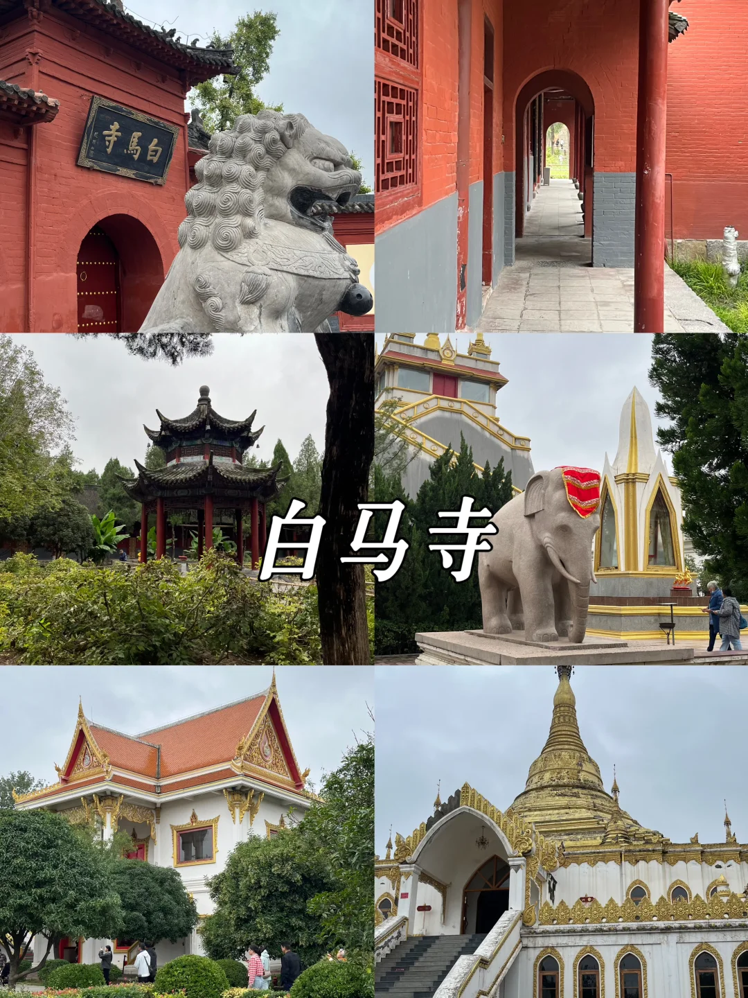 郑州开封洛阳7天旅游攻略📍
