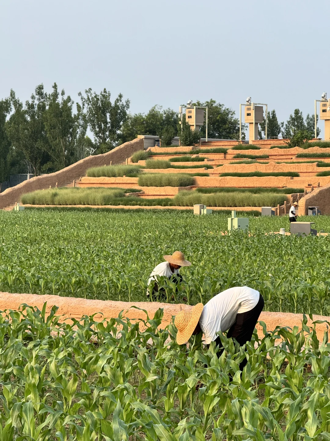 在小红书跟风最成功的一次‼️