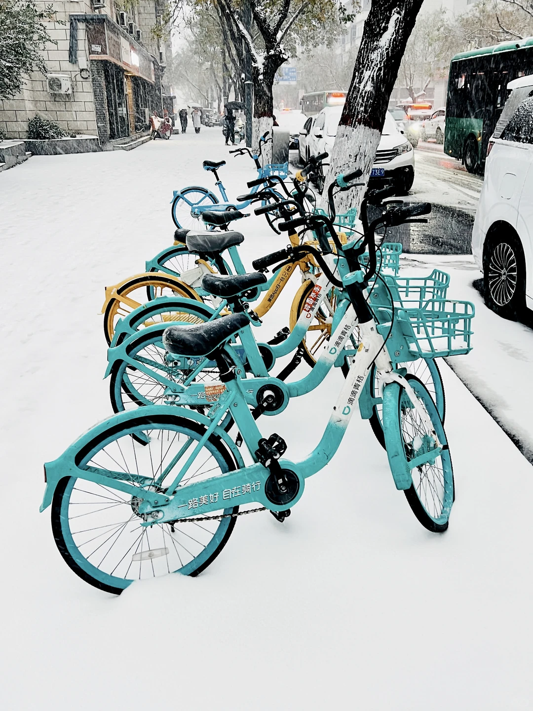 关于郑州的记忆，第一次来就遇到鹅毛大雪。