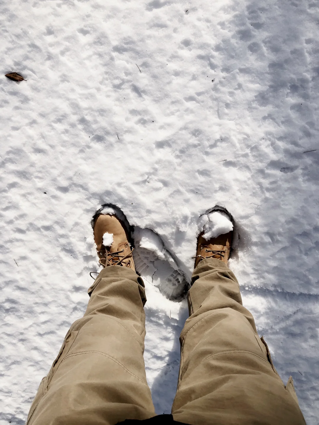 关于郑州的记忆，第一次来就遇到鹅毛大雪。