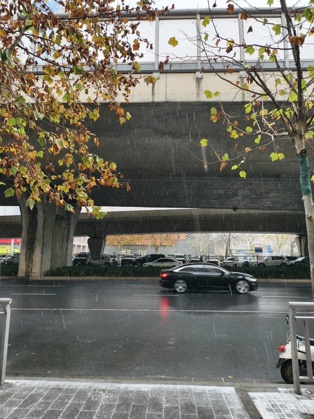 郑州终于迎来了初雪❄️(◕‿◕✿)