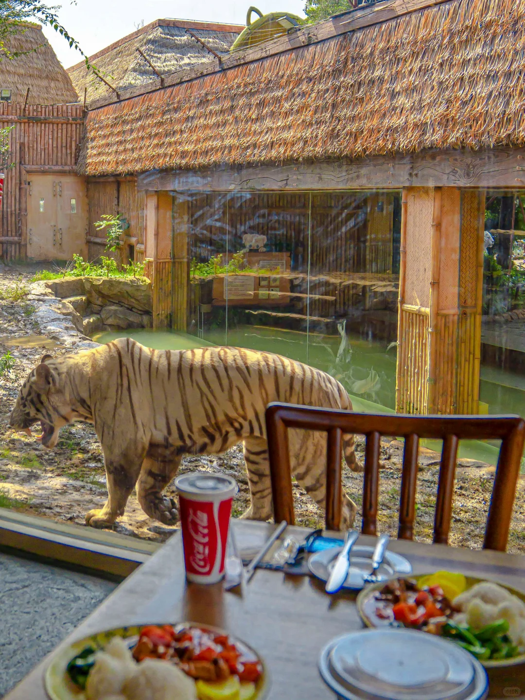 迄今为止，我去过最夸张的动物园出现了‼️