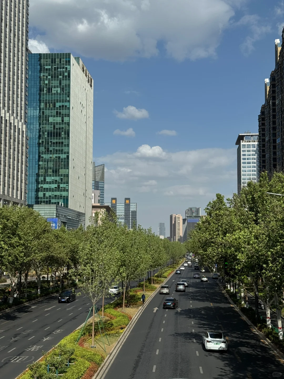郑州不愧是北方第一省会，城市环境太治愈了！