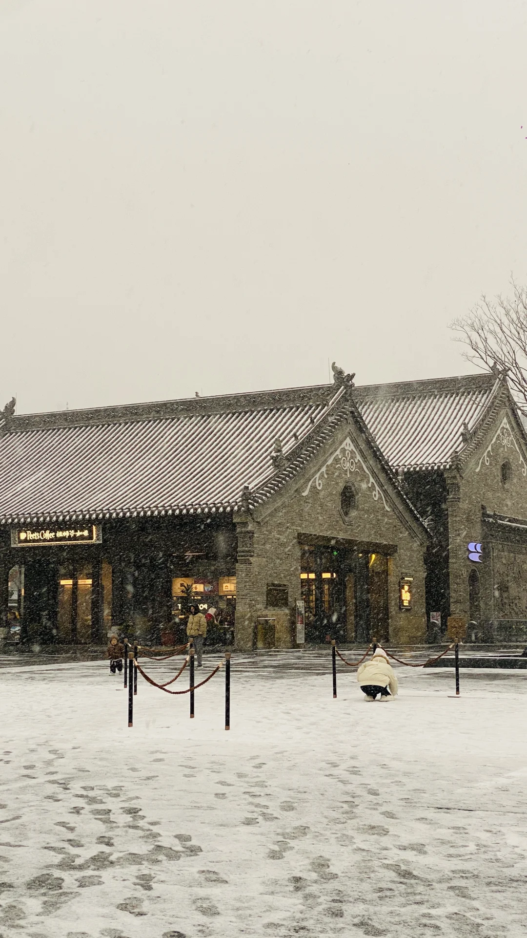 卧槽，暴雪里的郑州杀疯了，古建与雪花同框❗