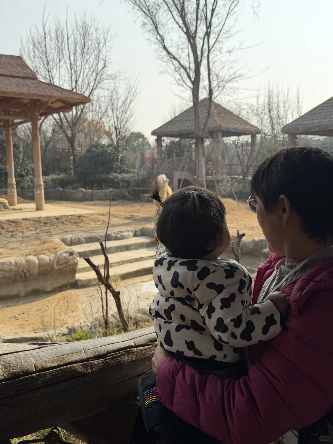 淡季带娃逛银基动物园真的太爽啦！