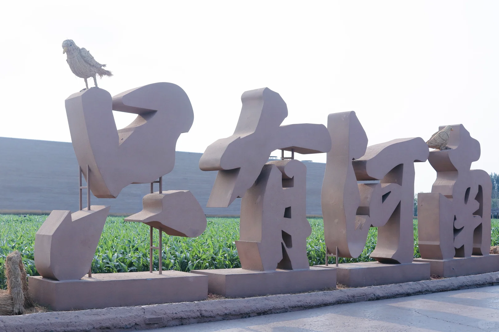 河南你也太低调了吧？！