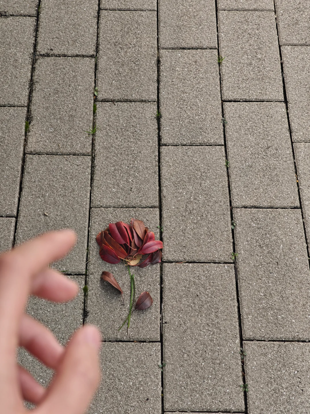 或许我会一直留在郑州