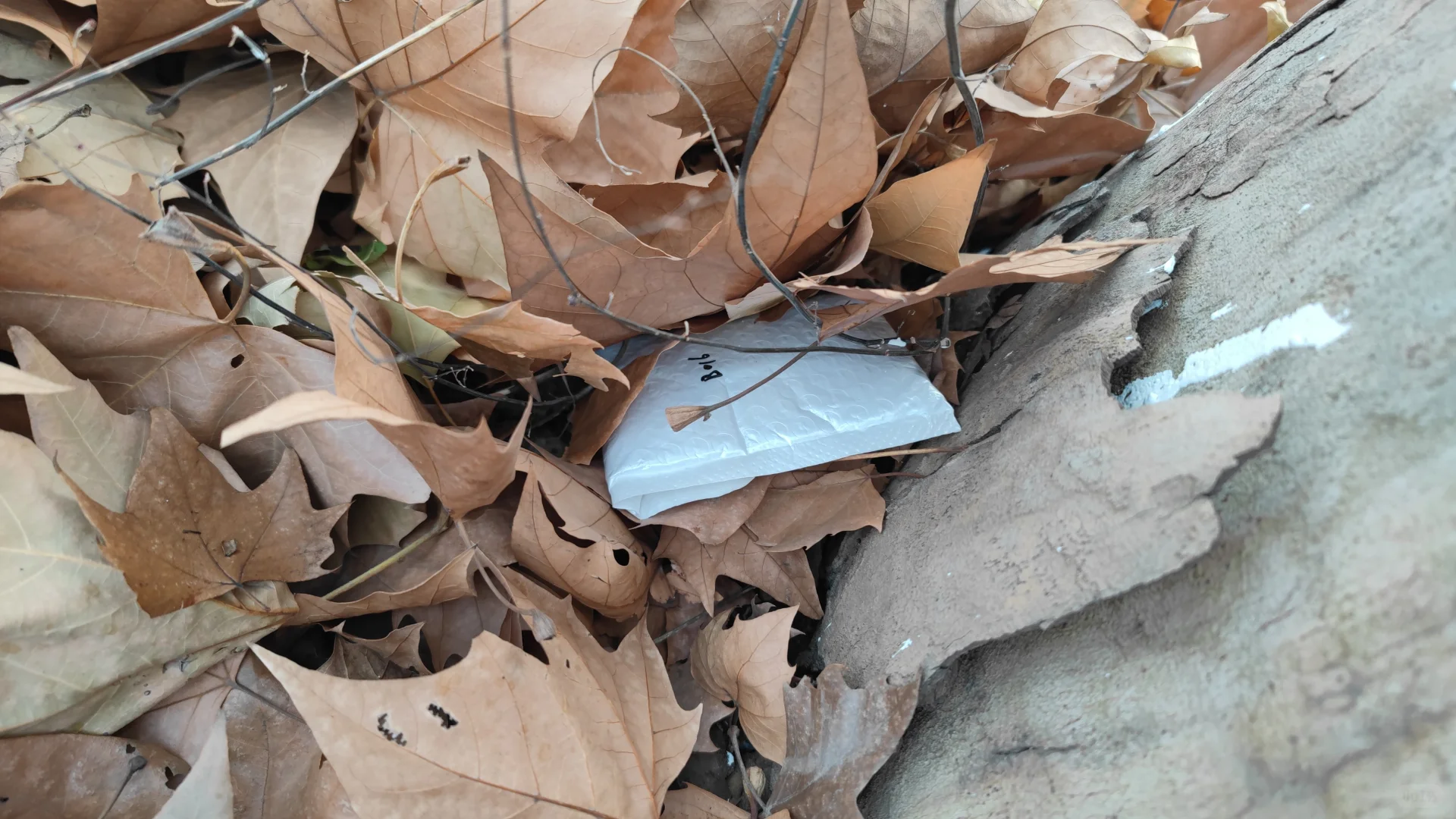 郑州下雪了，去寻宝吧