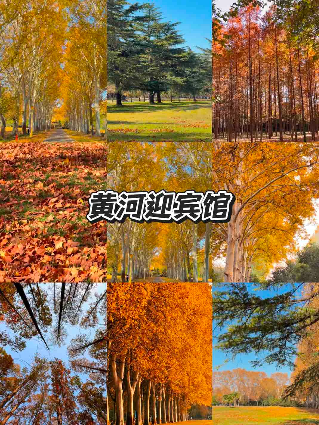 没来过这9个地方⁉️等于白来郑州了‼️🔥