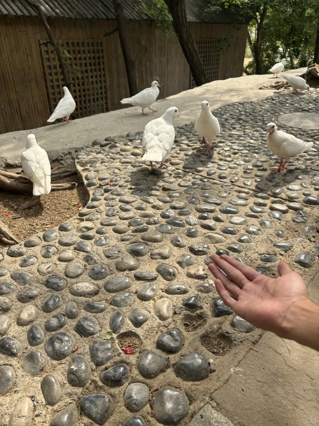 郑州3天精华攻略｜✅标志打卡+🍜美食扫街