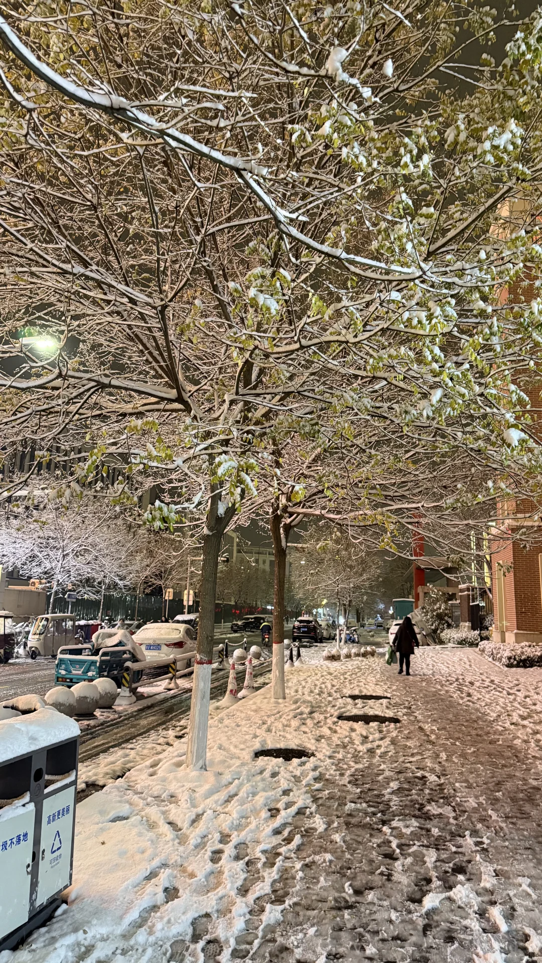 下雪后的郑州确实更浪漫一些！