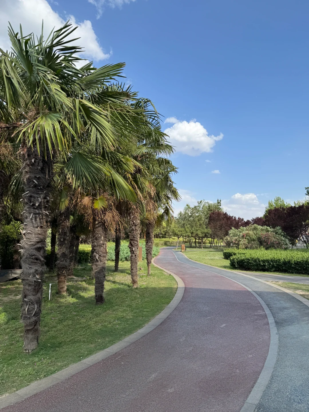 郑州不愧是北方第一省会，城市环境太治愈了！