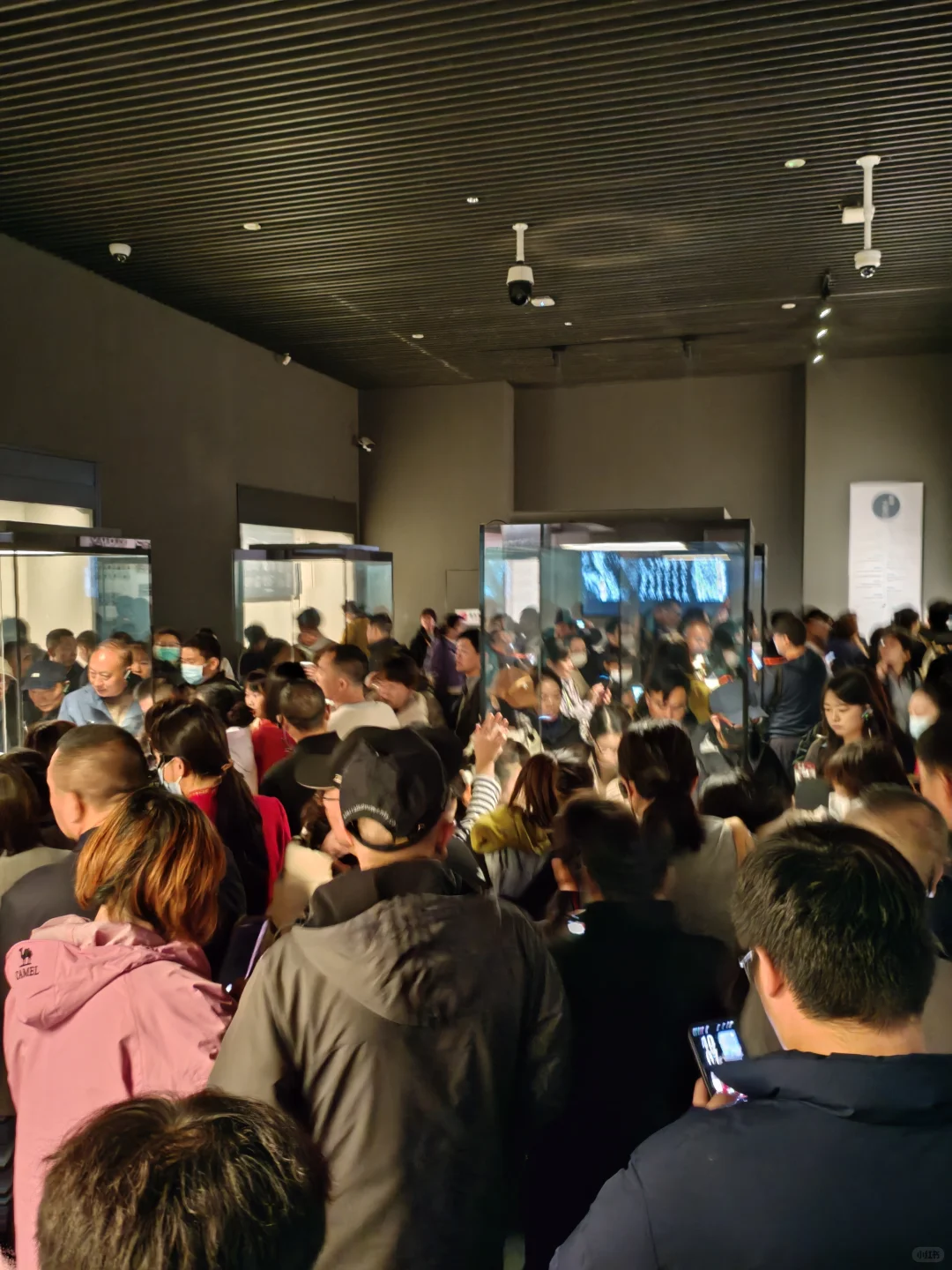 😭河南博物院来了，网红小狗呢？🐕