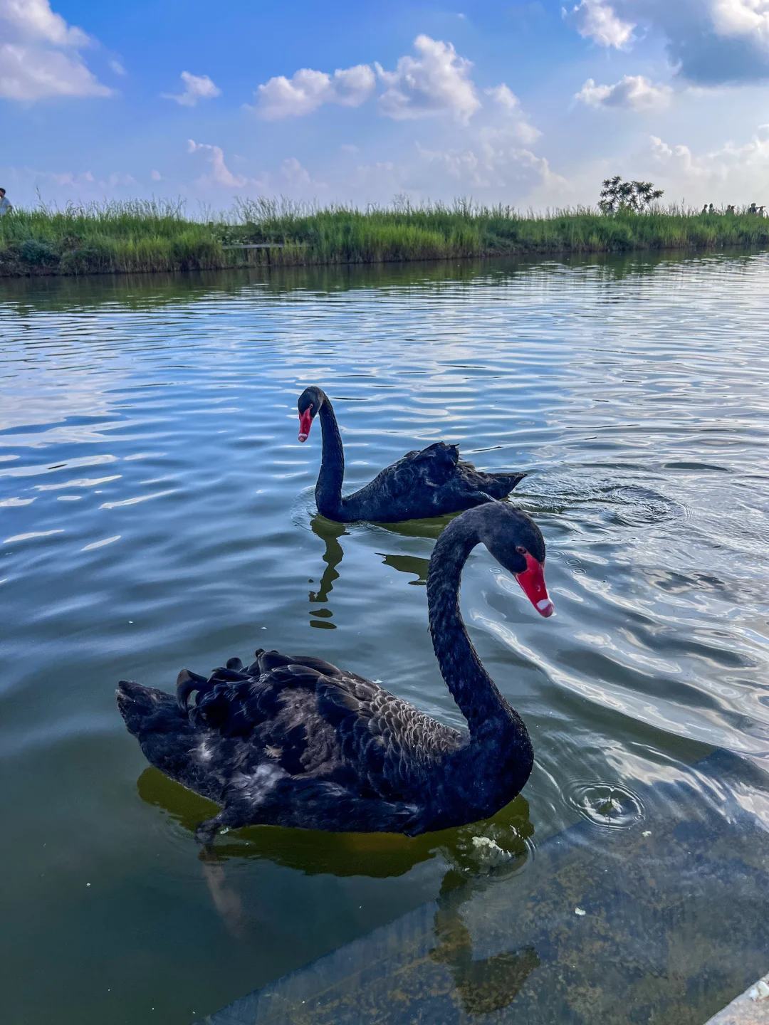 一秒穿越回千年，我心中郑州最美的古建！