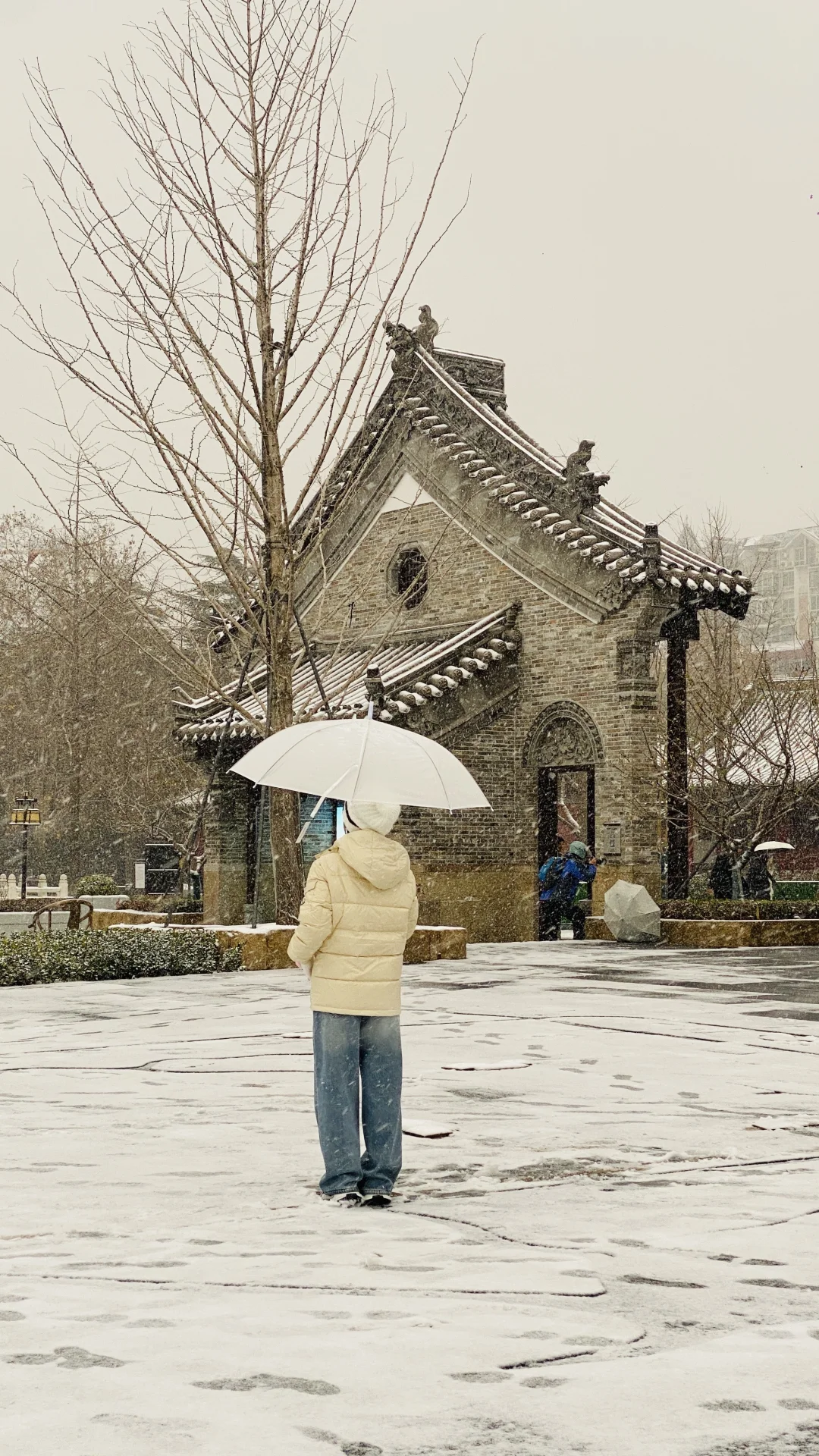 卧槽，暴雪里的郑州杀疯了，古建与雪花同框❗