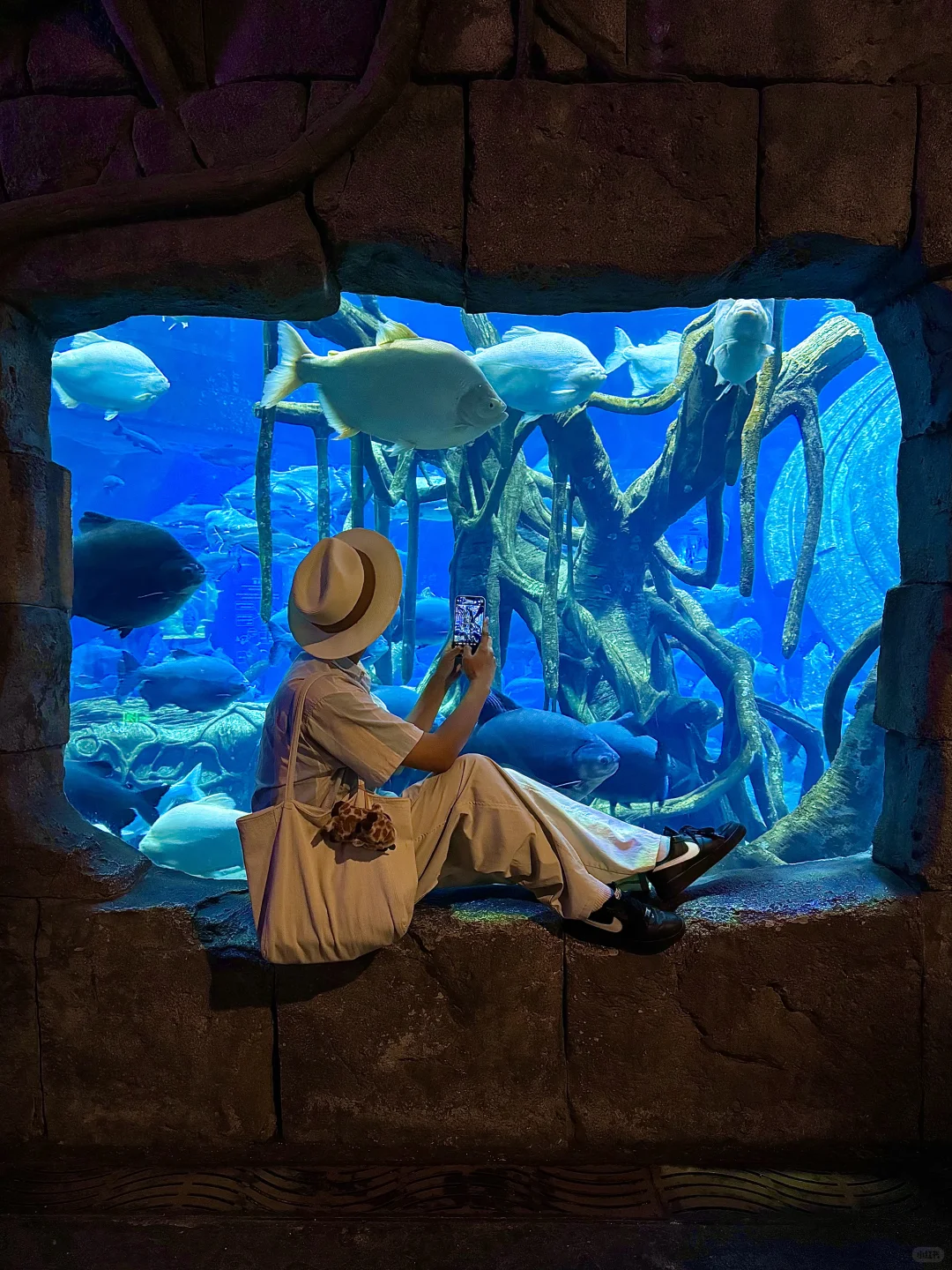 迄今为止，我去过最夸张的动物园出现了‼️