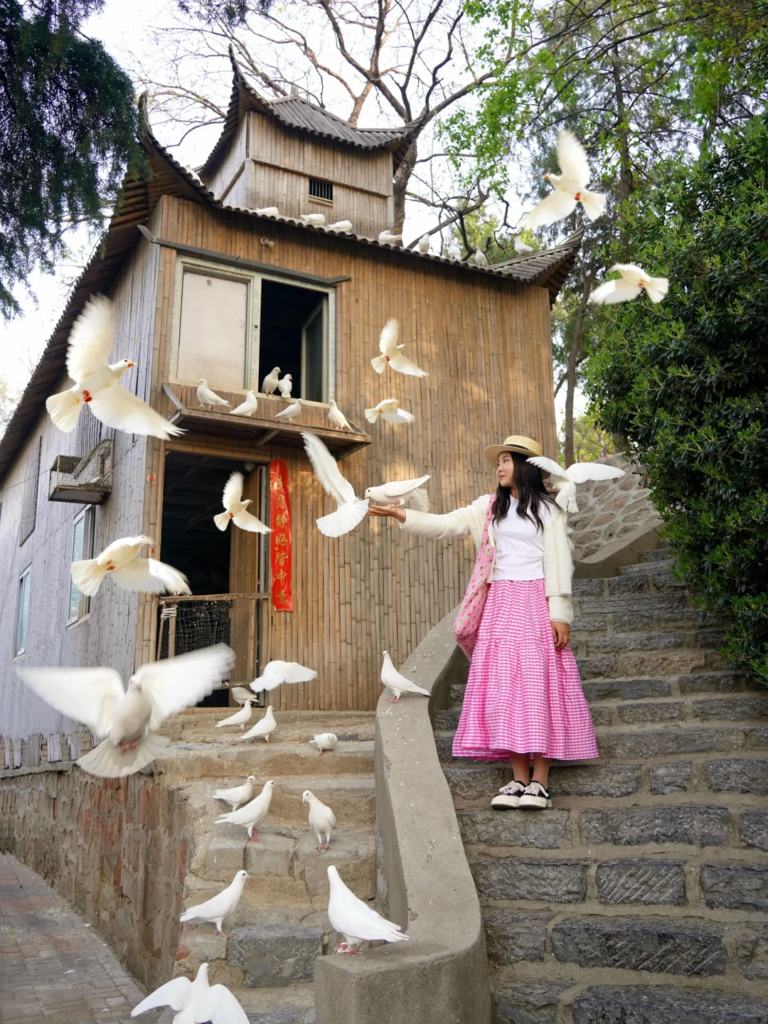 第一次去郑州！强烈建议复制这条游玩路线