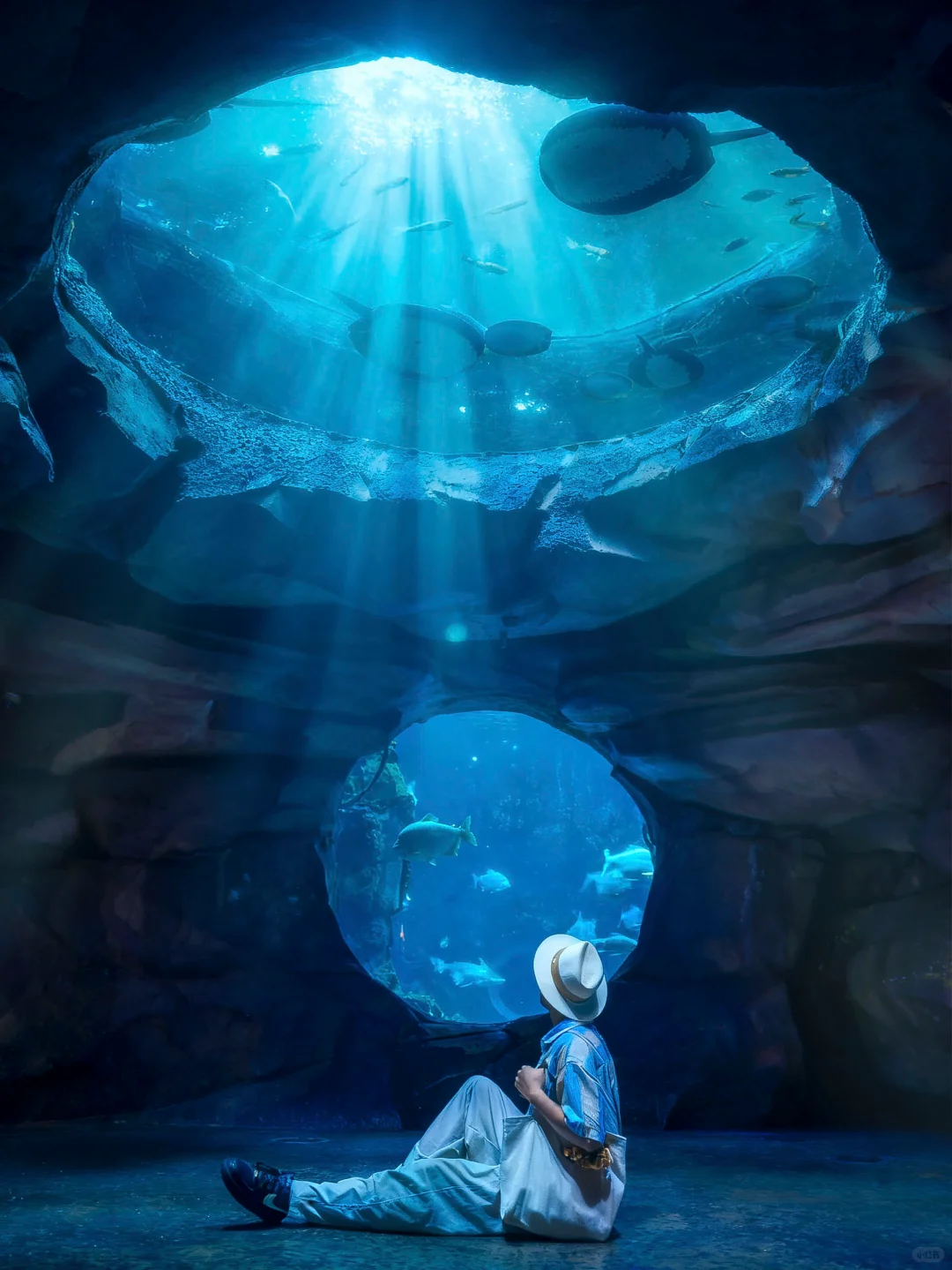 迄今为止，我去过最夸张的动物园出现了‼️