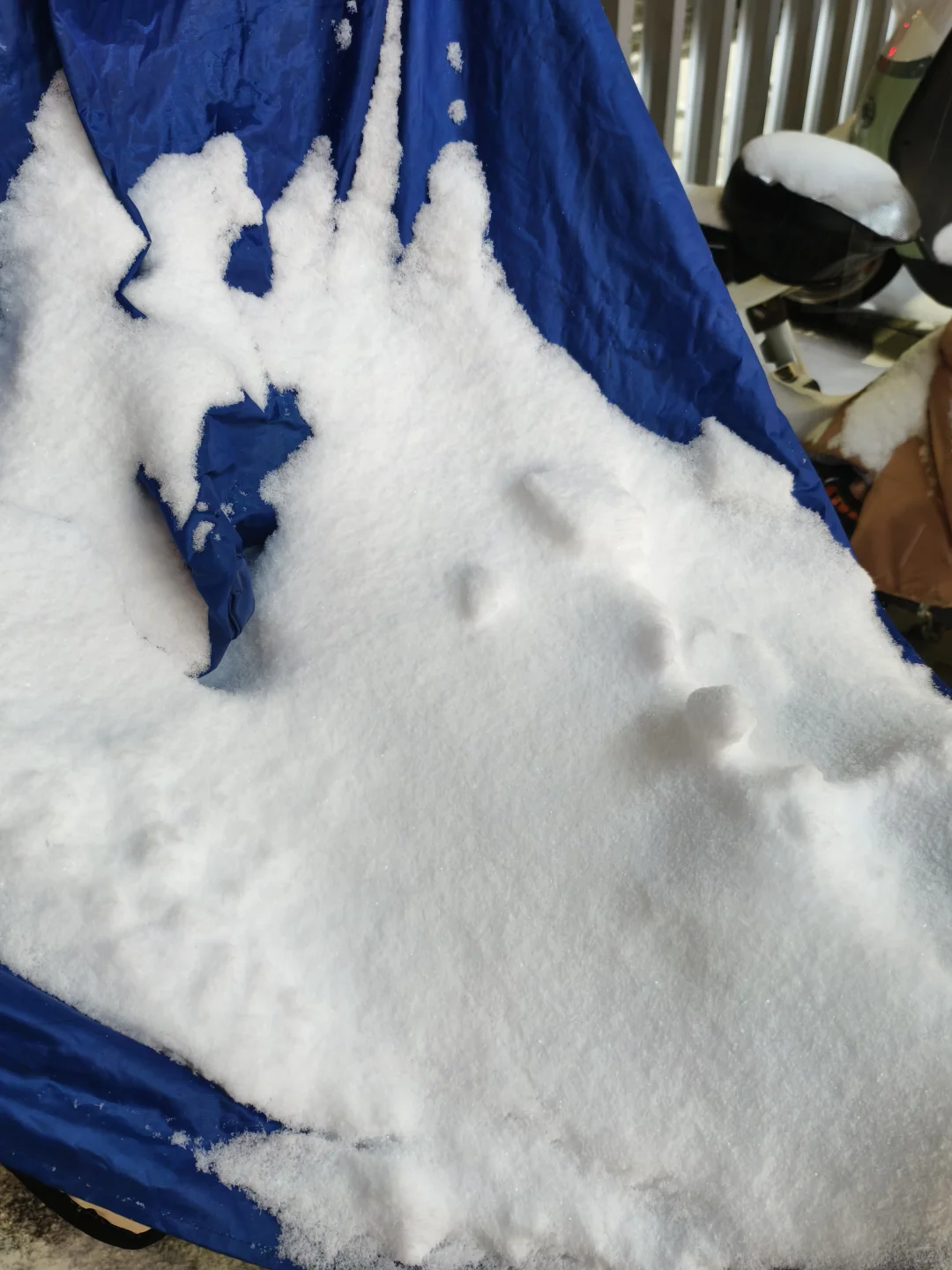 郑州终于迎来了初雪❄️(◕‿◕✿)