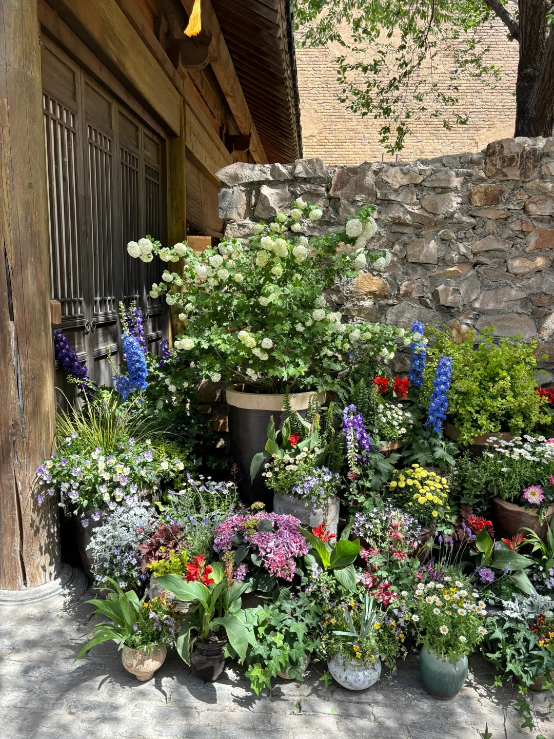 关于郑州我想的全是你～