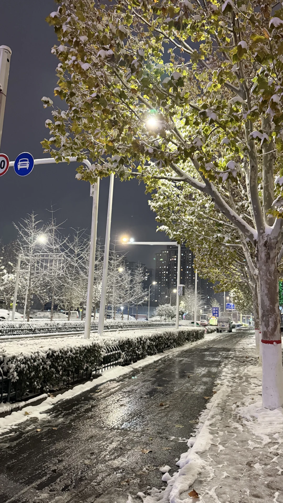 下雪后的郑州确实更浪漫一些！