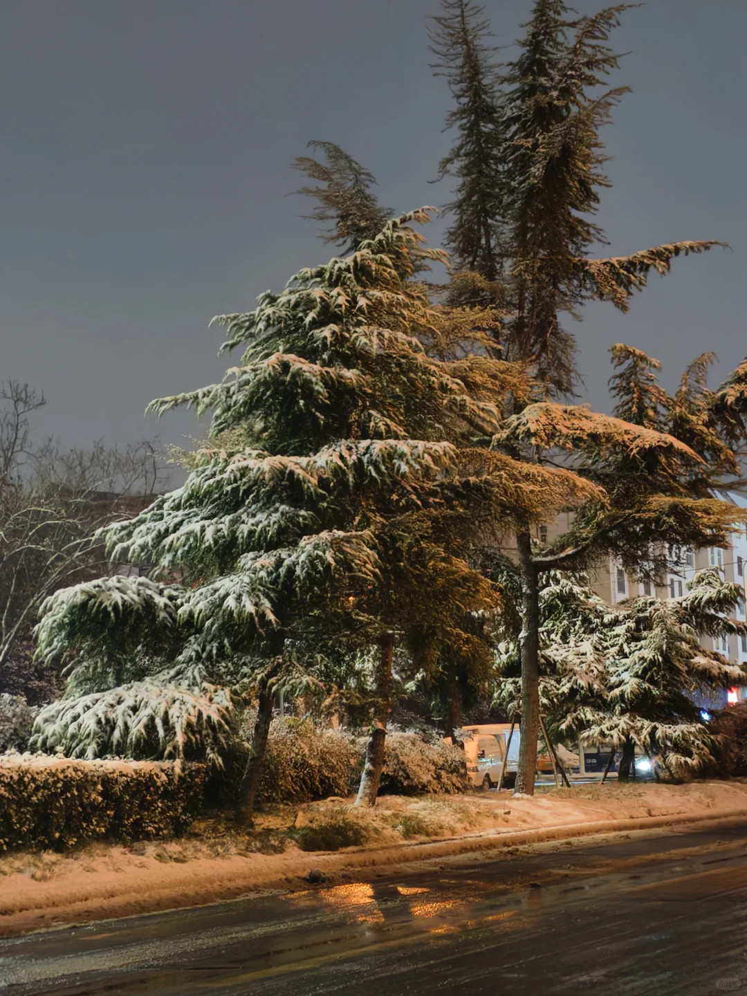 郑州终于迎来了初雪❄️(◕‿◕✿)