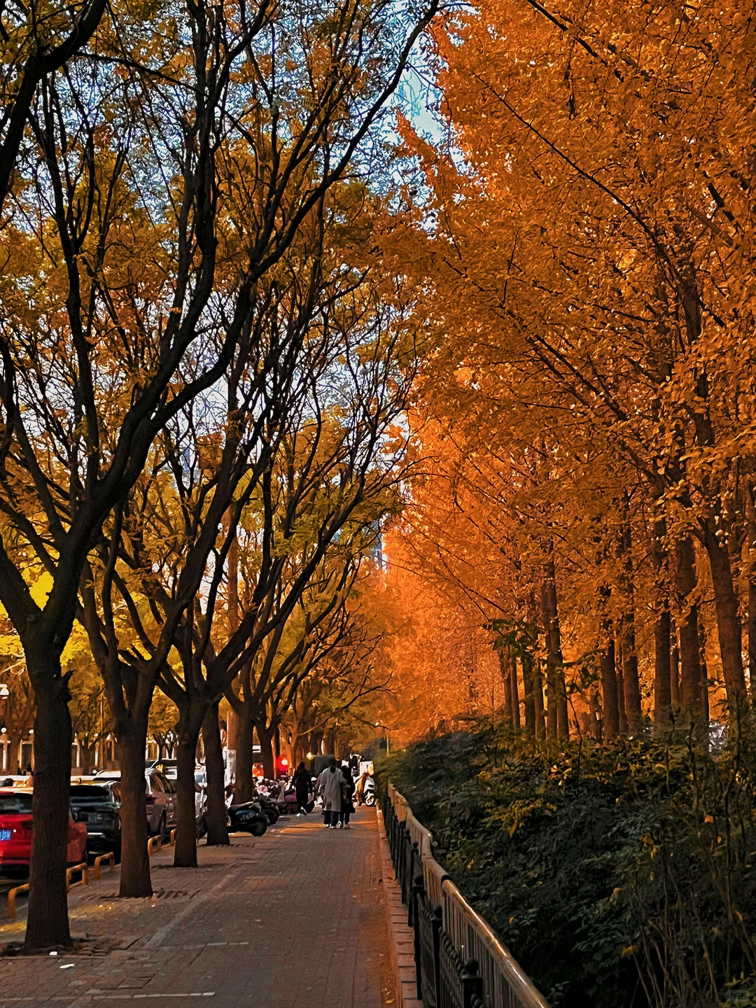 郑州J人本地朋友熬夜8h整理的地图攻略🗺